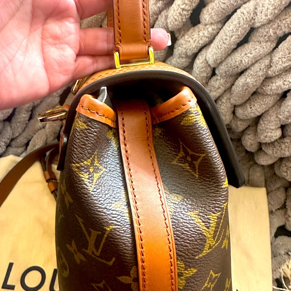 LV Dauphine Reverse Monogram Backpack - Picture 13 of 16